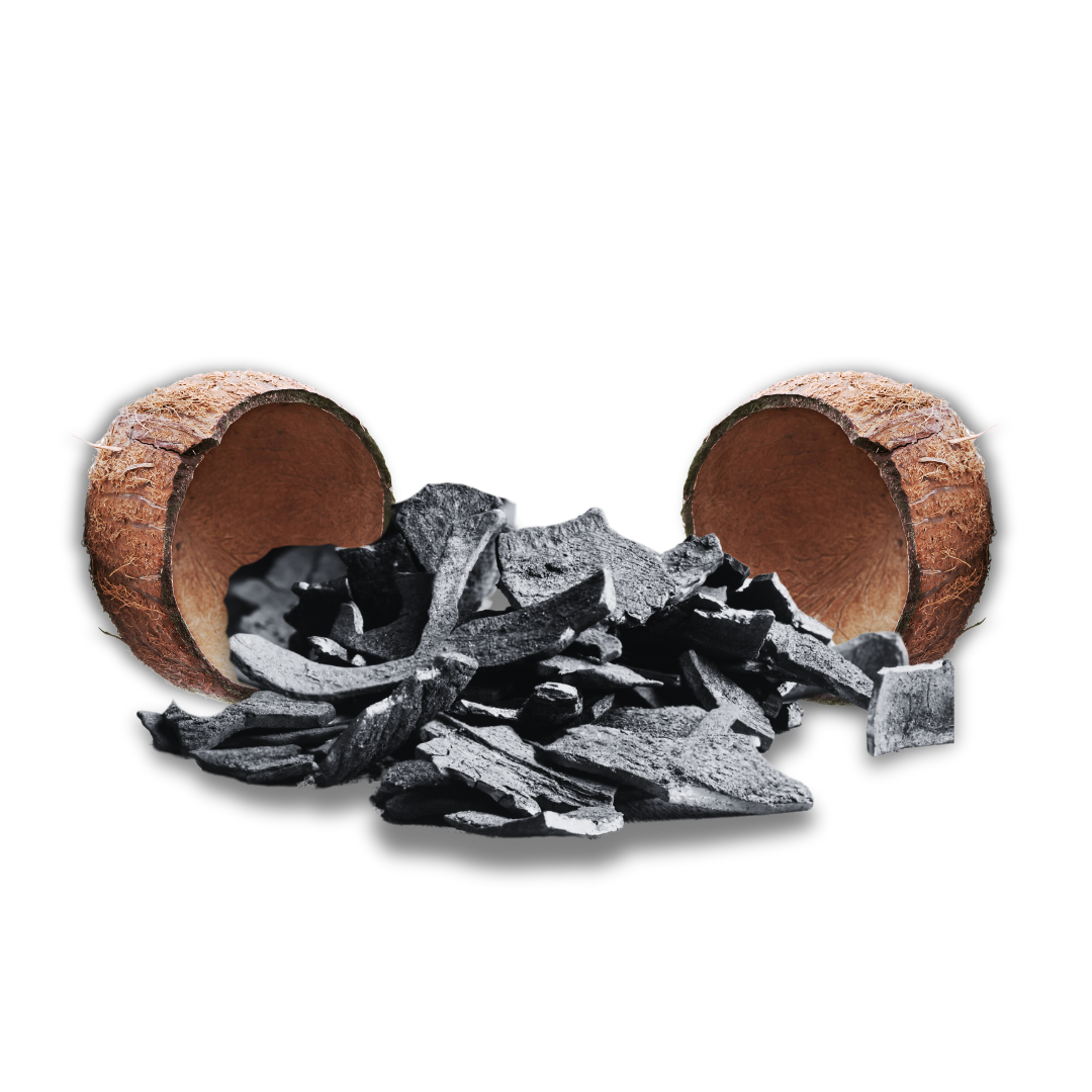 Coconut Shell Charcoal